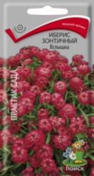 Иберис зонтичный Вспышка однол. 0,3гр. (Поиск)