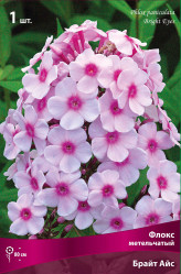 Флокс метельч. Брайт Айз (1шт./уп.) (Солн.сад)