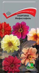 Георгина Мефистофель однол. 0,2гр. (Поиск)