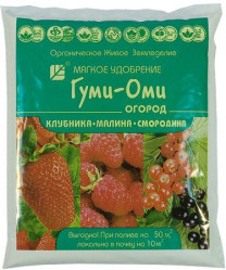 Гуми-ОМИ Ягодный - Земляника, клубника, малина, смородина (пак.0,7кг.)