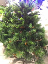 Сосна Брайтон Нью с шишками Н=150см (ССH139409)