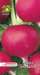 Редька Барыня 2гр. (авт.серия) (Поиск)