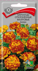 Бархатцы Болеро откл. 0,4гр. махр. однол. (Поиск)