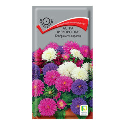 Астра низкорослая Ковер смесь окрасок 0,2гр. (Поиск)