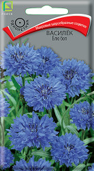 Василек Блю Бол однол. 1гр. (Поиск)