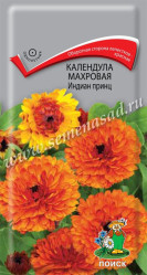 Календула махровая Индиан Принц однол. 0,4гр. (Поиск)