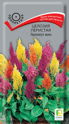 Целозия перистая Лиллипут микс однол. 0,1гр. (Поиск)