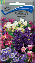 Аквилегия гибр. Бидермеер многол. 0,1гр. (Поиск)