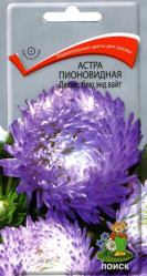 Астра пионовидная Дюшес Блю энд Вайт 0,3гр. (Поиск)