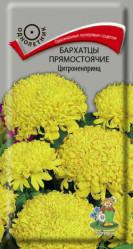 Бархатцы Цитроненпринц прямост. 0,4гр. (Поиск)