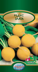 Редис Злата 3гр. (Поиск)