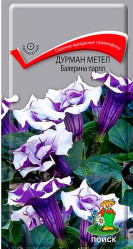 Дурман метел Балерина Парпл однол. 3шт. (Поиск)