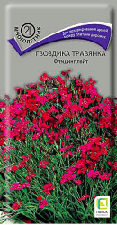 Гвоздика травянка Флэшинг Лайт многол. 0,1гр. (Поиск)