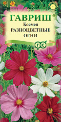 Космея Разноцветные огни 0,5гр. однол. (Гавриш)