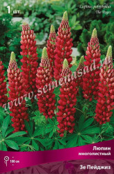 Люпин многол. Зе Пейджиз (1шт./уп.) (Солн.сад)