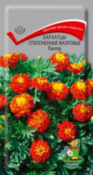 Бархатцы Пантер откл.махр. 0,2гр. (Поиск)