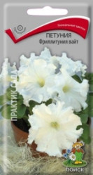 Петуния Вайт 10шт.Фриллитуния (Поиск)