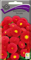 Маргаритка Тассо Ред двул. 20шт. (Поиск)