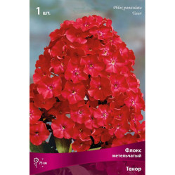 Флокс метельч. Тенор (малинов.с кармин.центром) (1шт./уп.) (Солн.сад)