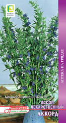 Иссоп Аккорд 0,5гр. (Поиск)