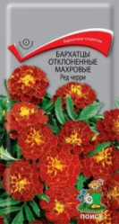 Бархатцы Ред Черри откл.махр. 0,3гр. (Поиск)