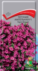 Петуния Парпл Вельвет F1 амп.(Гавриш)