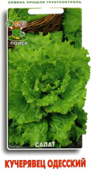 Салат Кучерявец Одесский 1гр. (Поиск)