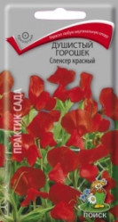 Душистый Горошек Спенсер Красный однол. 1гр. (Поиск)