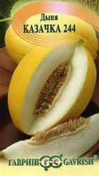 Дыня Казачка 244 1гр. (Гавриш)