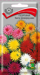 Георгина Кактус фловеред микс однол. 0,2гр. (Поиск)