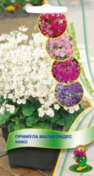 Примула малакоидес Микс 0,01гр. (комн.раст.) (Поиск)