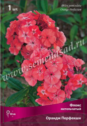 Флокс метельч. Ориндж Перфекшн (оранж.-красн.) (1шт./уп.) (Солн.сад/09)