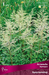 Астильба Арендса Браутшлейер (снежно-белый, поникающий) (1шт./уп.) (Солн.сад)