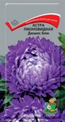 Астра пионовидная Дюшес Блю 0,3гр. (Поиск)