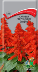 Сальвия сверкающая Дварф Ред однол. 0,1гр. (Поиск)