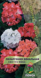 Пеларгония зональная Люстра Микс 5шт. (комн.раст.) (Поиск)