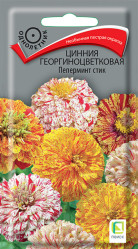 Цинния Пеперминт Стик 0,4гр. однол. (Поиск)