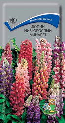 Люпин низкорослый Минарет многол. 1гр. (Поиск)