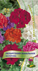 Пеларгония зональная Колорама 0,05гр. (комн.раст.) (Поиск)
