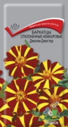 Бархатцы Джолли Джестер откл. 0,2гр. (Поиск)