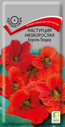 Настурция низкорослая Король Теодор однол. 1гр. (Поиск)