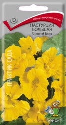 Настурция большая Золотой блик однол. 1гр. (Поиск)