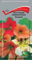 Настурция низкорослая Везувий однол. 1гр. (Поиск)