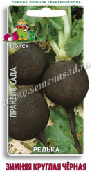 Редька Зимняя Круглая черная 2гр. (Поиск)