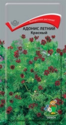 Адонис летний Красный однол. 0,3гр. (Поиск)