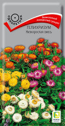 Гелихризум Низкорослая смесь однол. 0,1гр. (Поиск)