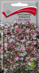 Гипсофила изящная Смесь окрасок однол. 0,2гр. (Поиск)