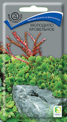 Молодило кровельное многол. 0,01гр. (Поиск)
