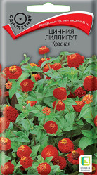 Цинния лилипут Красная однол. 0,4гр. (Поиск)