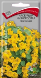 Настурция низкорослая Золотой шар однол. (1гр.) (Поиск)